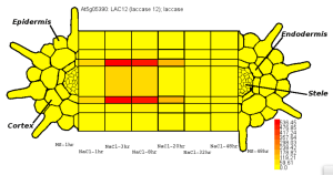 Screen Shot 2014-11-06 at 8.48.20 PM