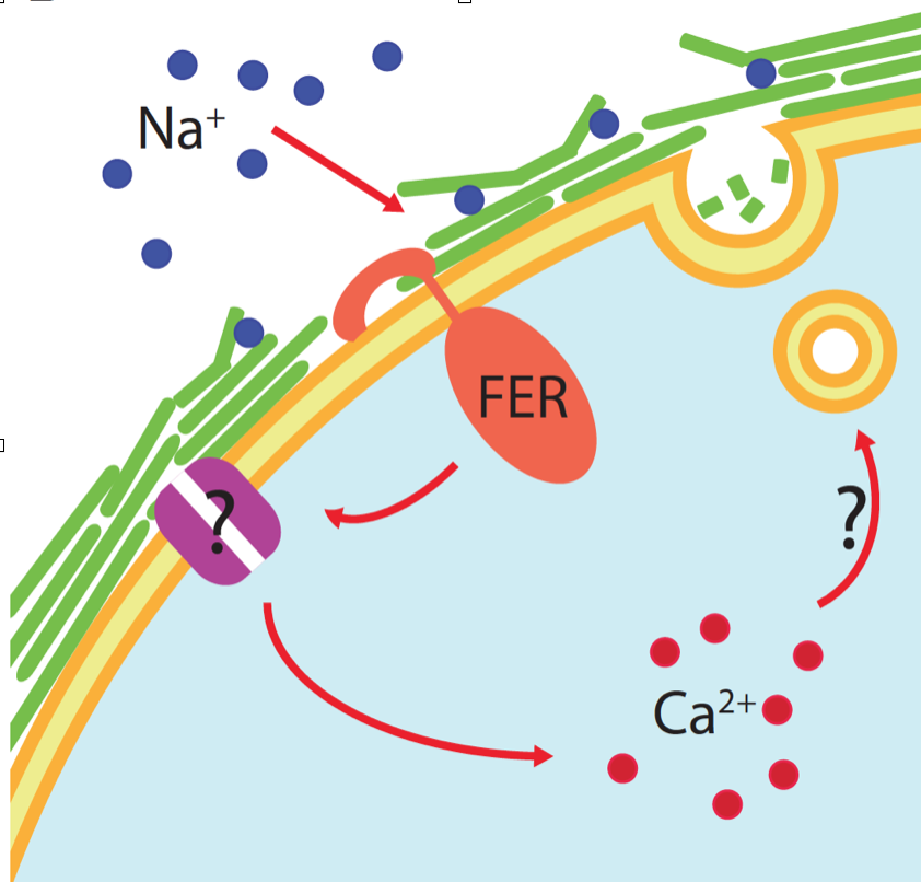 Screen Shot 2017-03-09 at 8.40.47 PM