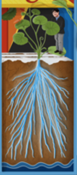 Screen Shot 2017-10-05 at 5.10.32 PM